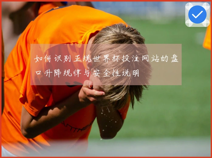 如何识别正规世界杯投注网站的盘口升降规律与安全性说明