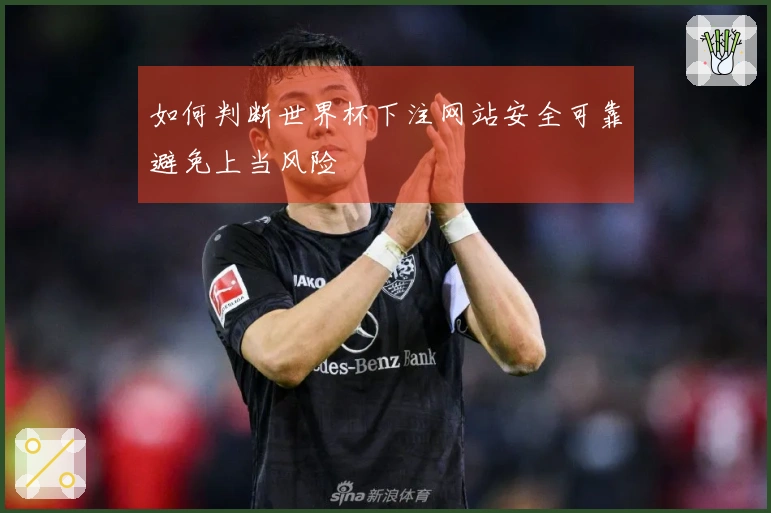 如何判断世界杯下注网站安全可靠避免上当风险