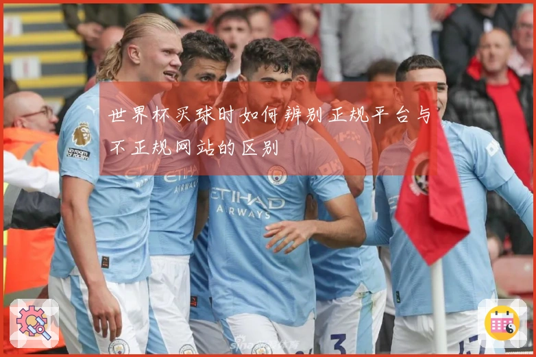 世界杯买球时如何辨别正规平台与不正规网站的区别