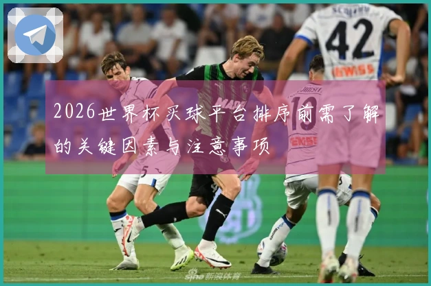2026世界杯买球平台排序前需了解的关键因素与注意事项