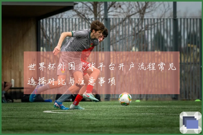 世界杯外围买球平台开户流程常见选择对比与注意事项