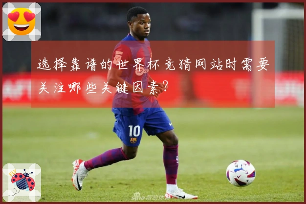 选择靠谱的世界杯竞猜网站时需要关注哪些关键因素？