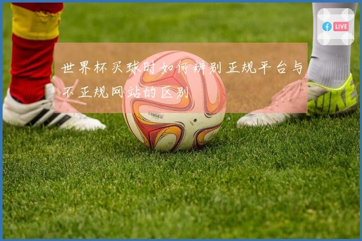 世界杯买球时如何辨别正规平台与不正规网站的区别
