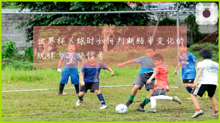 世界杯买球时如何判断赔率变化的规律与市场信号