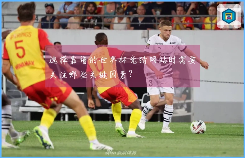 选择靠谱的世界杯竞猜网站时需要关注哪些关键因素？