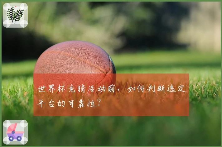 世界杯竞猜活动前，如何判断选定平台的可靠性？