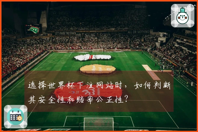 选择世界杯下注网站时，如何判断其安全性和赔率公正性？